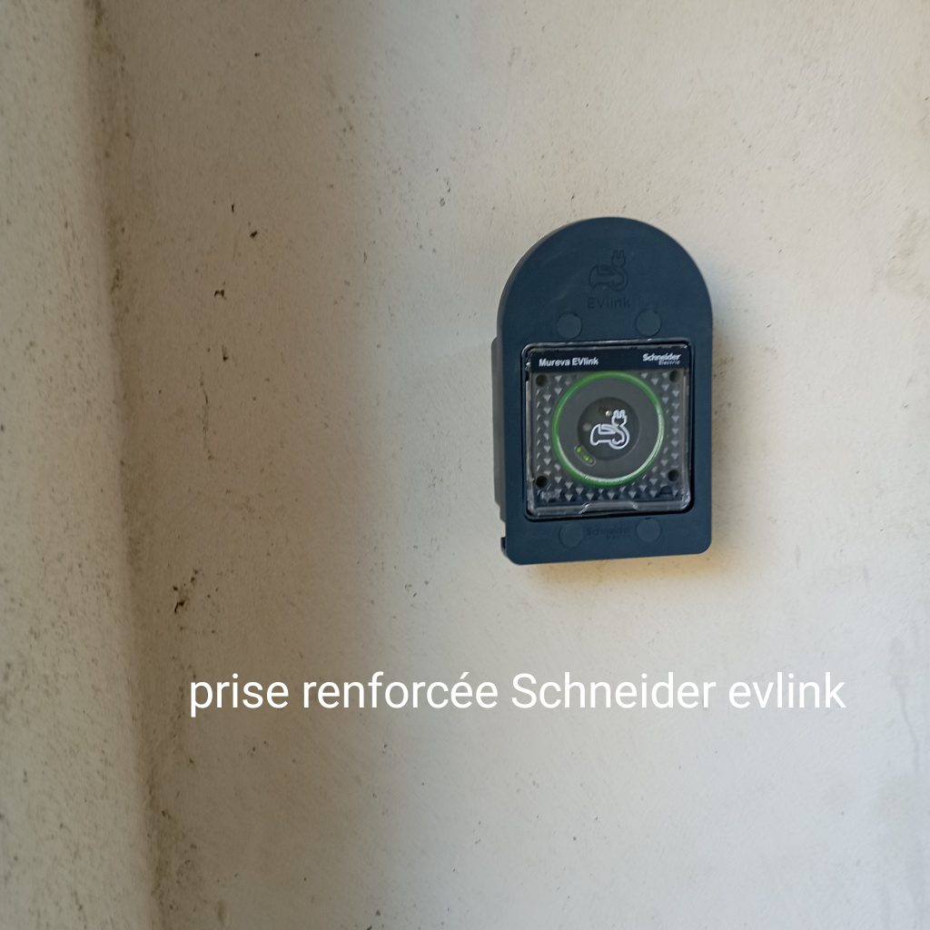 IMG 20251207 174344 1024x1024